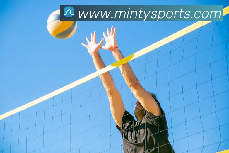 球赛投注平台生态图